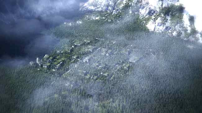 overgrown
